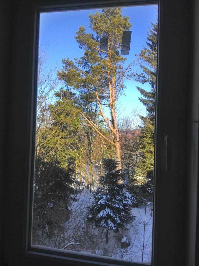 Kanada Inn U Klinovce Vejprty Esterno foto